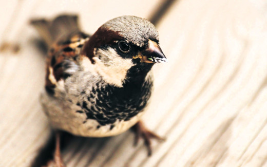 1753983 (a): :1920x1200